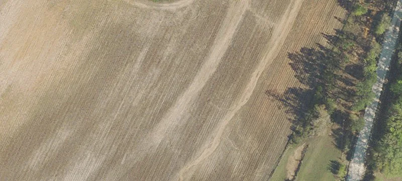 Undeveloped Land in Graceville, Florida