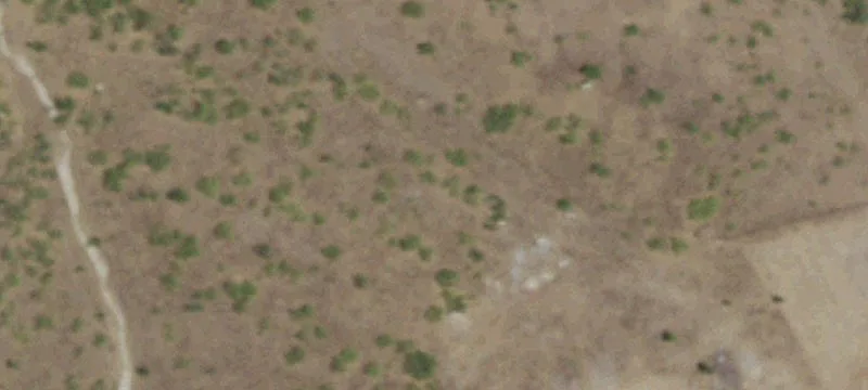 Land For Sale in Jarrell
