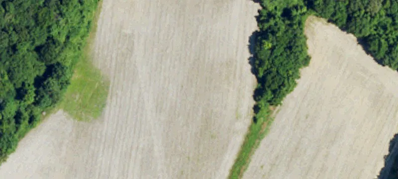 Wake County Land For Sale
