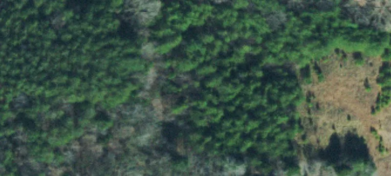 Land For Sale in Fairview