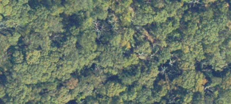 Land Available in Lorton
