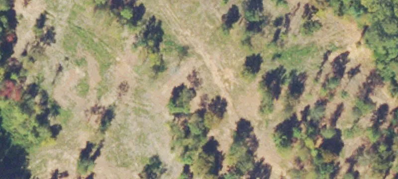 Land on Long Road