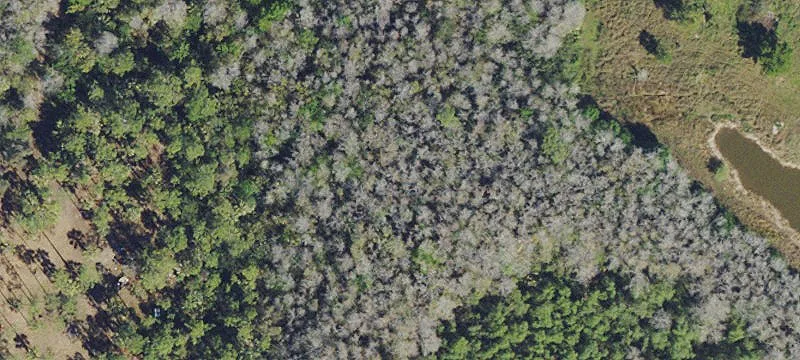 Land Available in Naples, Florida
