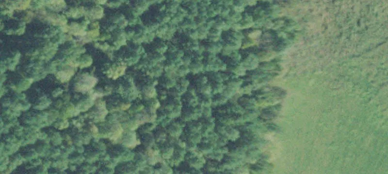 Land Available on Bunches Chapel
