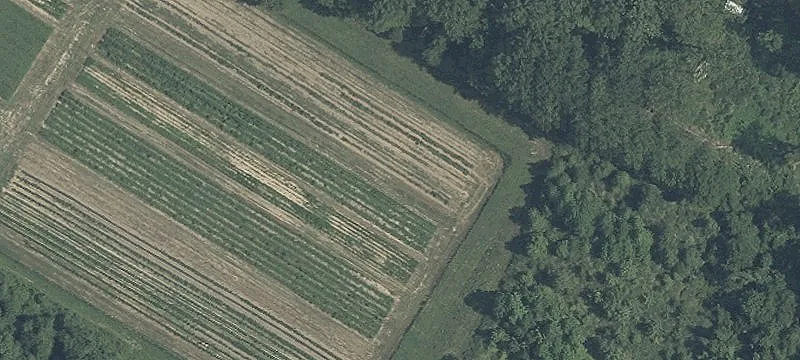 Land Available in Silver Spring