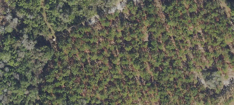 Land For Sale Georgetown, FL