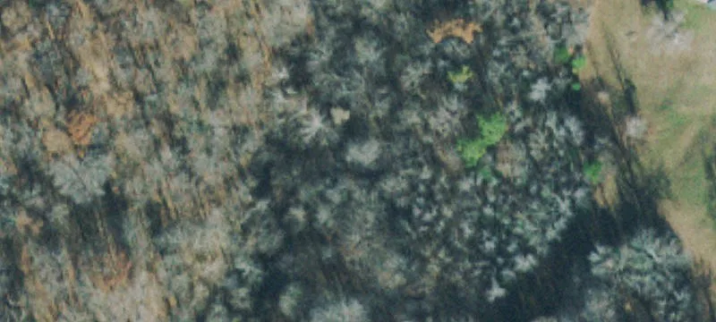 Land For Sale Palmyra