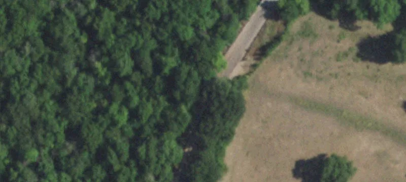 Fannin County Farmland Opportunity