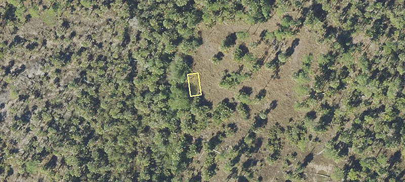 Vacant Land in Naples, FL