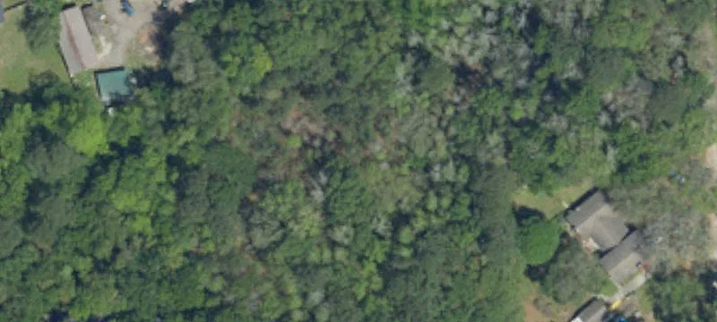 Land Available in Dorchester County