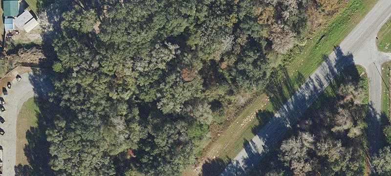 Land for Sale in Live Oak