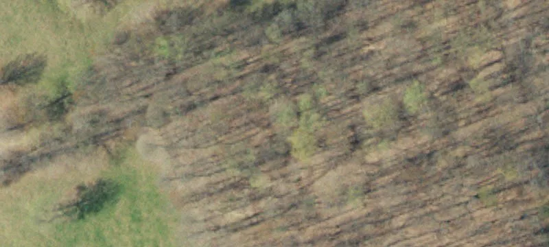 Land for Sale in Sneedville