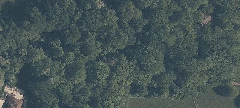 Vacant Land on Music Street