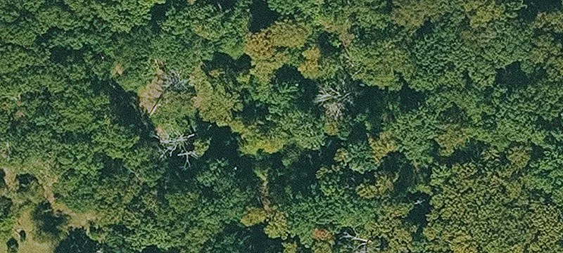 Land For Sale Morrilton
