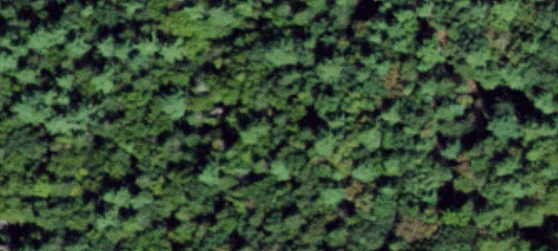 Land for Sale Narrowsburg