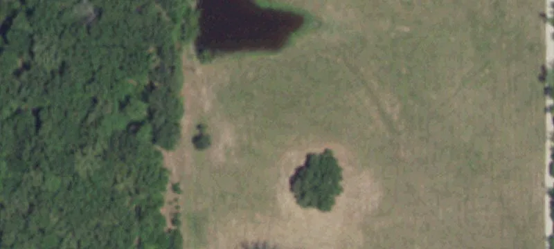 Land for Sale in Emory