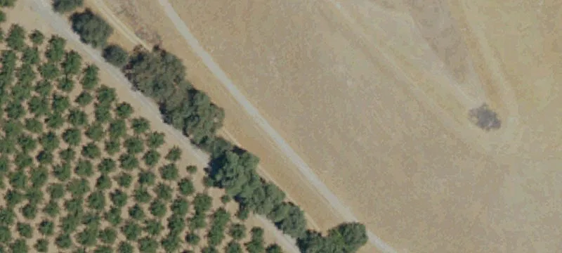 Land Available on Geer Road