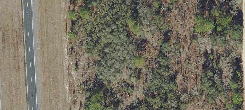 Vacant Land in Homosassa
