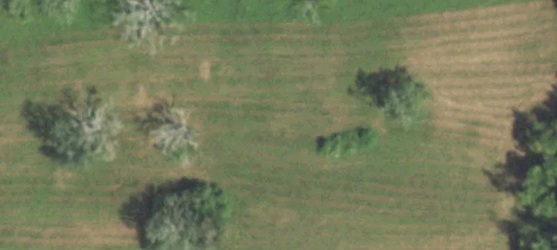 Rosharon Land For Sale