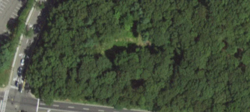 Suffolk County Land Available