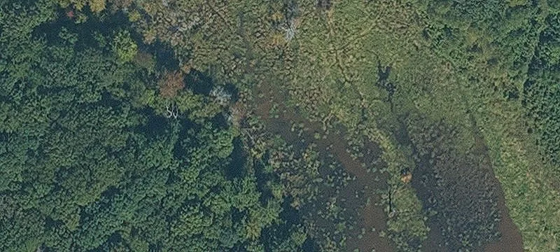 Land For Sale Brookland