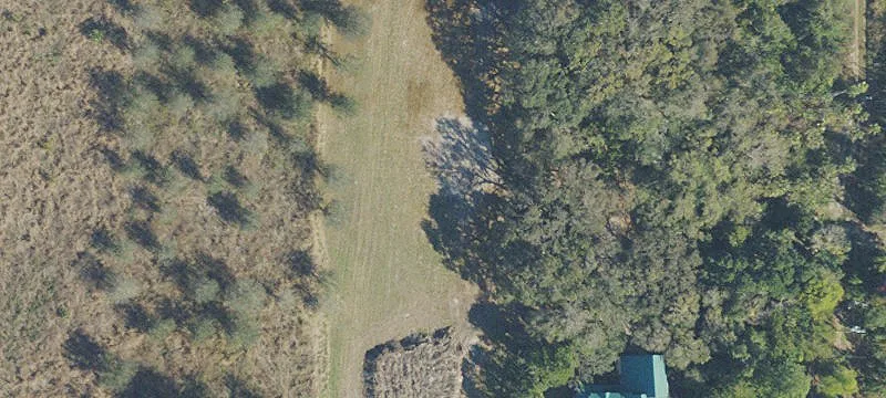 Land For Sale in Labelle