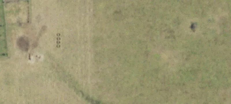 Land For Sale in Celina