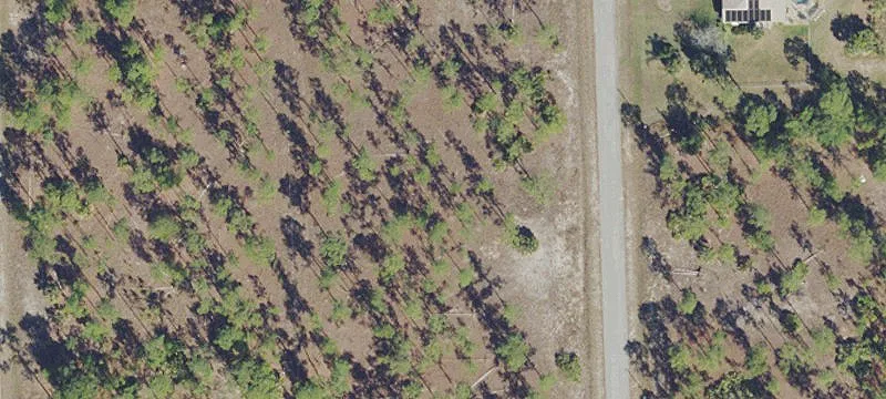 Lehigh Acres Land For Sale