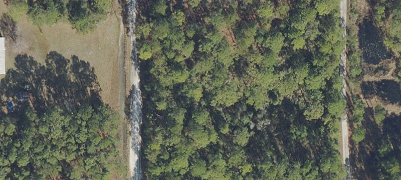 Land For Sale Georgetown, FL
