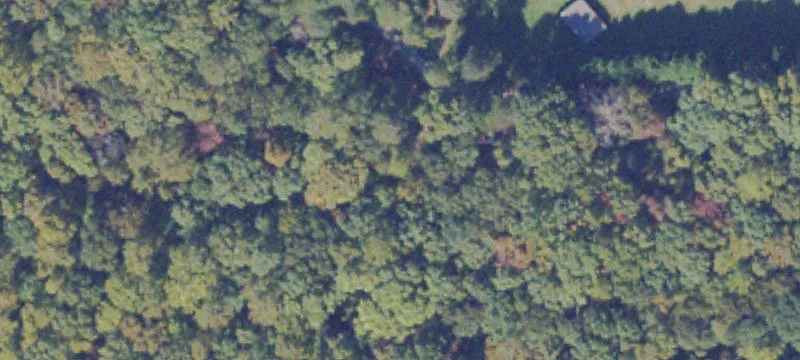 Goochland Land For Sale