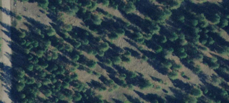 Land For Sale in Big Arm
