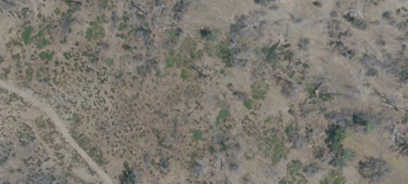 Land on New Long Valley
