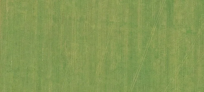 Land For Sale in Gentry