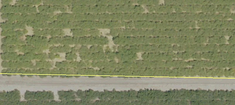 Land For Sale in Madera