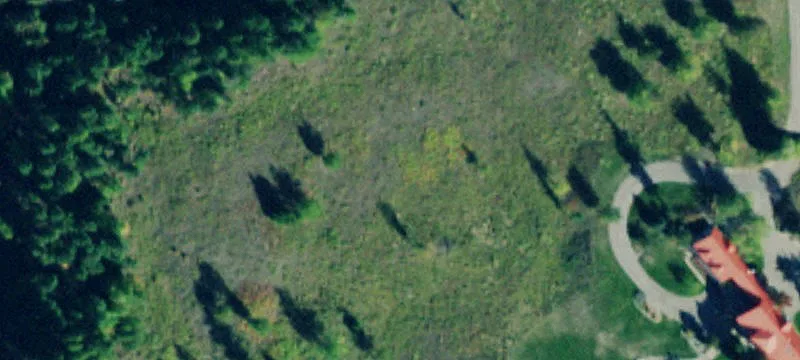 Land on Big Mountain Road