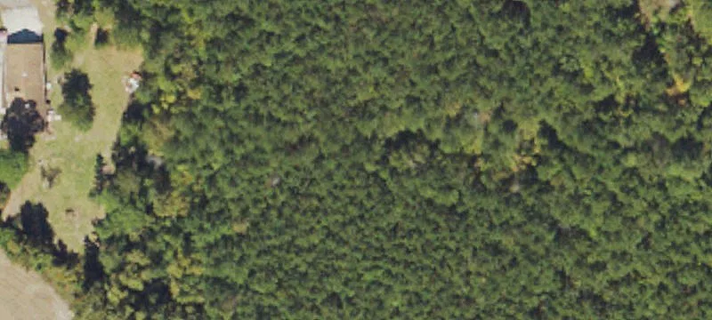 Undeveloped Land in Lumberton, NC