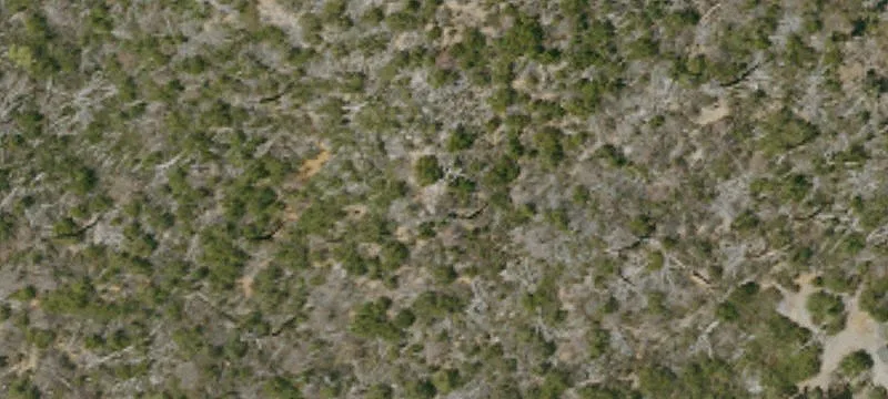 Land For Sale in Julian