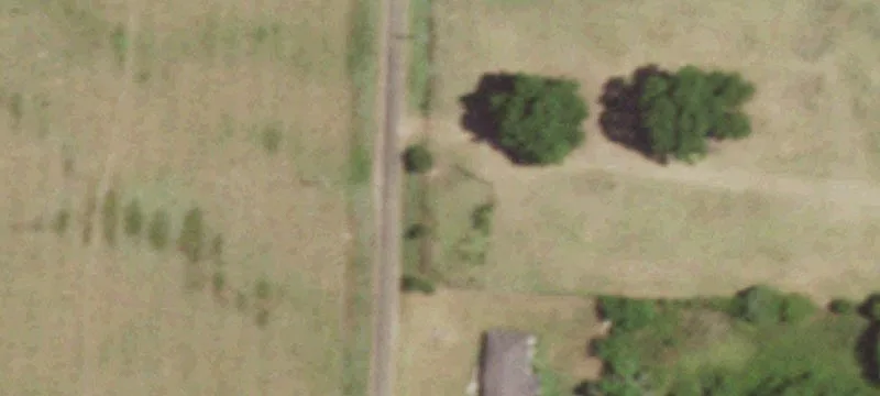 Undeveloped Land in Daingerfield, TX