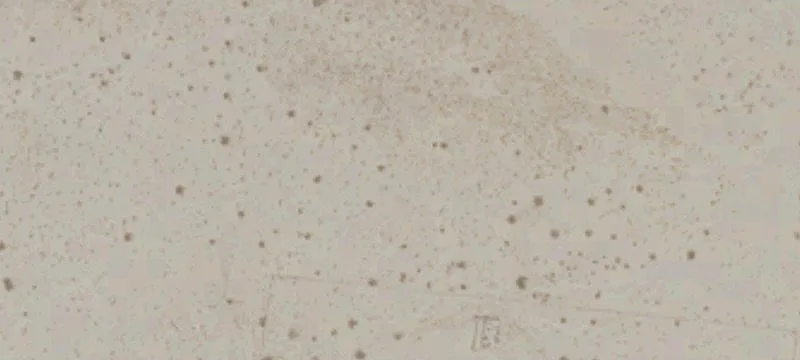 Land Available in Newberry Springs