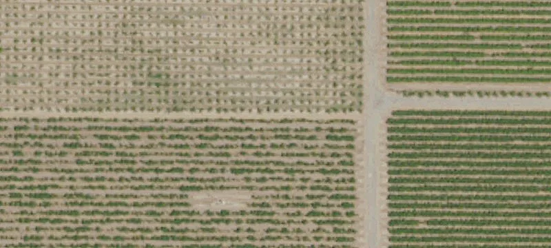 Land Available on West Lane