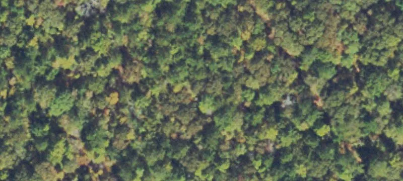Land for Sale in Hillsboro