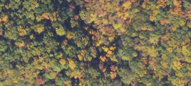 Clarke County Land Parcel