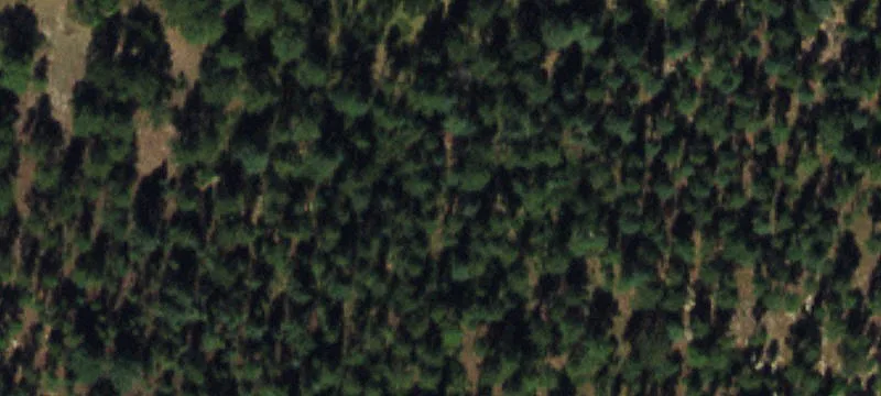 Land For Sale Larkspur