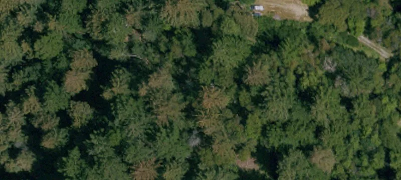 Land for Sale in Los Gatos