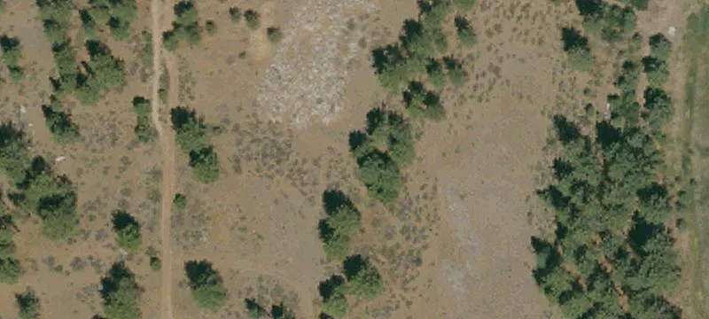 Land For Sale in Portola