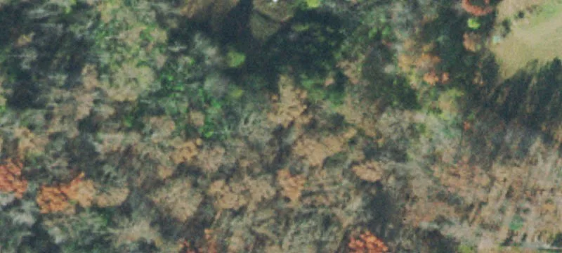 Commercial Land For Sale