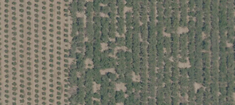 Madera Land For Sale