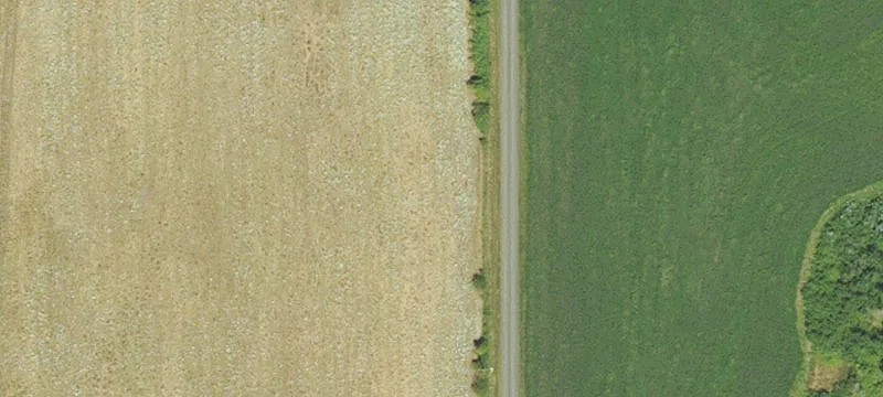 Land Available Off Monmouth Street