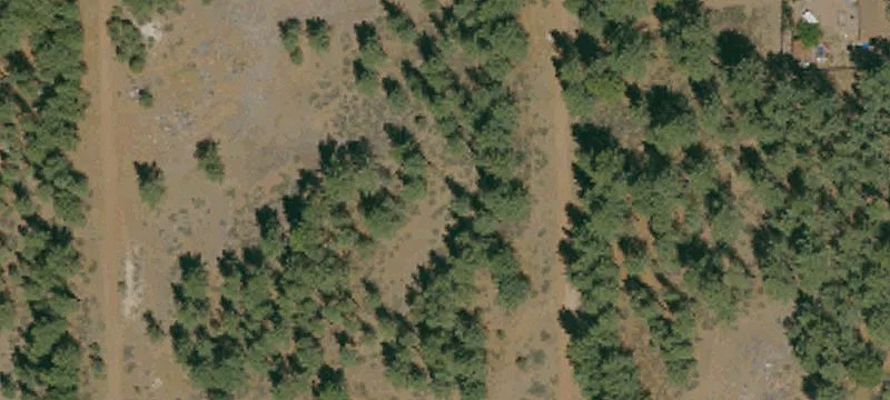 Land For Sale in Portola
