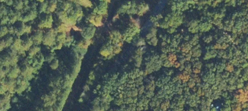 Land for Sale in Lyerly